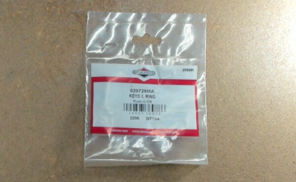 020729MA Briggs & Stratton Keys and Ring (2 keys)