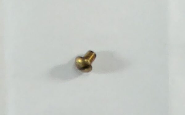 307911 Johnson Evinrude Screw